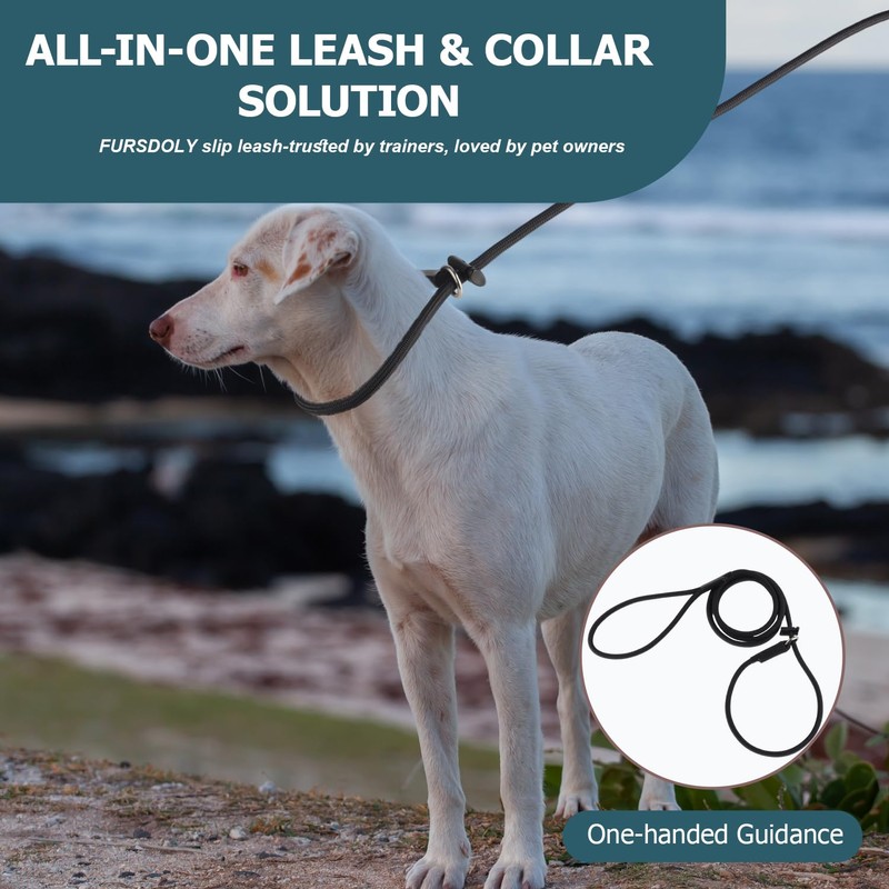 Slip Lead Dog Leash – Strong Nylon Training Rope with