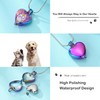 zeqingjw Pet Cremation Jewelry for Ashes Pendant Paw Print Pet