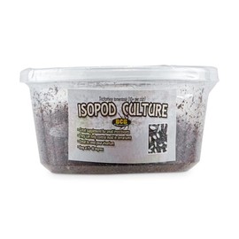 imagitarium Spring Tail & Isopod Culture Combo 4-Pack