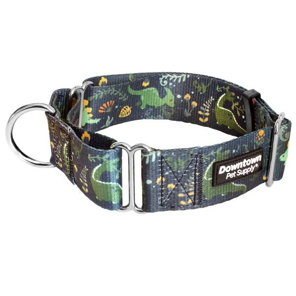 Downtown Pet Supply - Martingale Collar for Dogs - Dog