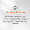Shampoo Base Alquitrán Bkenn, Limpieza Profunda, 500 ml