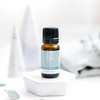 ECO. Modern Essentials Meditation Essential Oil Blend, 10ml