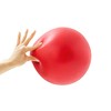 Sakurai Boeki #54147 Erugam Fitness Ball, Abdominal Muscle Tama