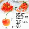 S.fields.inc Cherries Food Samples, 50 Pieces, 1.0 inches (2.5 cm),