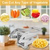 French Fry Cutter, Potato Chipper with 2 Blades Stainless Steel