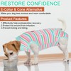 GreenJoy Get-Well-Soon Dog Surgery Recovery Suit - Soft Breathable Dog