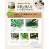Japan Medical System Moisture Hand Cream, 2.8 oz (80 g),