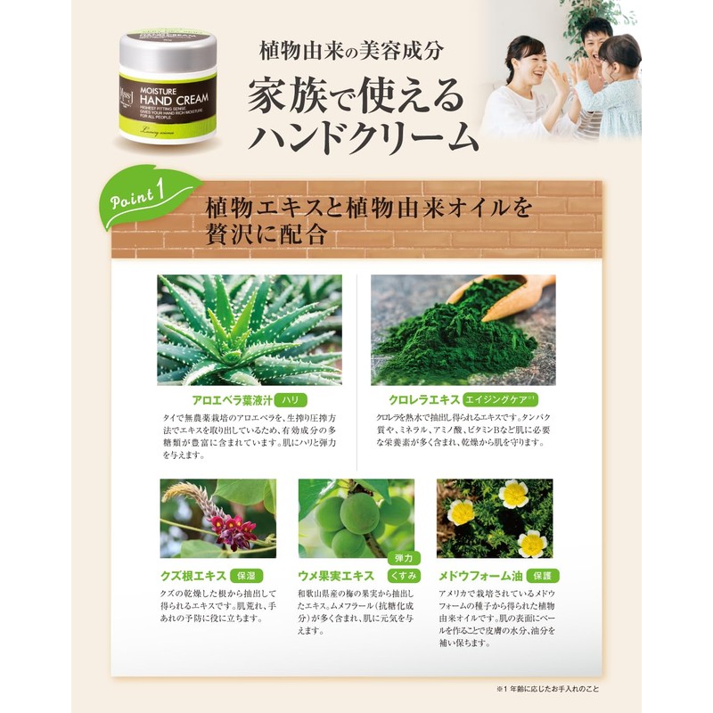 Japan Medical System Moisture Hand Cream, 2.8 oz (80 g),
