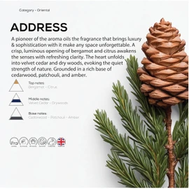 Dr Scent Breeze of Joy Diffuser Aroma Address – Velvet Cedar, Citrus, and Cedarwood Fragrance | Made in The UK (170ml) Perfect for Offices, Homes, Shops, Hotel Rooms & Small Lobbies