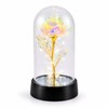 Eternal Rose Gift for Her – Acrylic Rose Display with