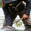 RIO Products Premier Gold Max Fly Fishing Line - Maximum