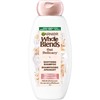 Garnier Whole Blends Gentle Shampoo Oat Delicacy for Sensitive Scalp,