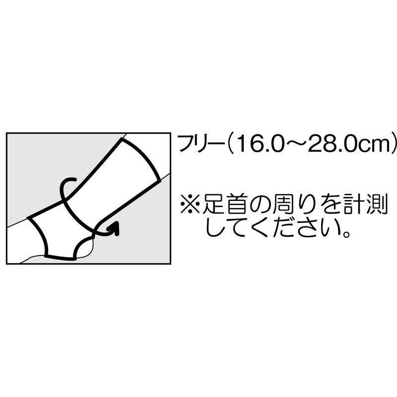 カルド綿 シルクサポーター 足首用 フリーサイズ 強