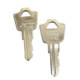 SafeCo Brands Replacement Fire Alarm Keys 2-Keys (MM101 Faraday)
