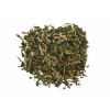 SoloTherapy Epazote Herb Tea Chenopodium Ambrosioides Herbal Remedy 2 oz