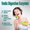 Vedic Digestive Enzymes + Herbs Complex for Better Digestion &