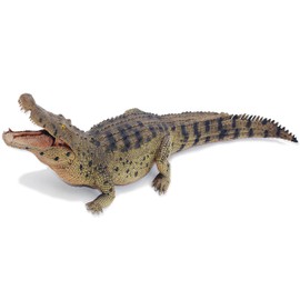 Gemini&Genius Giant Crocodile Toy, Realistic Alligator Action Figure, Wildlife Alligator with Moveable Jaw Figure Gift, Display and Collectible Toy for Kids or Animal Collector- 15 Inches Length