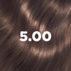 Emulsión Colorante 5.00 Castaño Claro LAZARTIGUE | Sin amoníaco ni