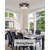 FEMILA Flush Mount Lighting Fixture, 12inch 2-Light Metal Ceiling Light