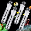 4 Pack Clear Glass Planaria Trap Catch Trap Aquarium Leech