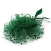 DRESHOW Fascinators Hat Flower Mesh Ribbons Feathers on a Headband