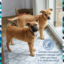 Pet Life Unlimited Smart Prints Extra Extra Large Puppy Pads, Pee Pads for Dogs, Dog Training Pads - Odor Controlling Dog Pee Pads with Wetness-Activated Scent - USA Made - 30" x 36" - 30 Count (XXL)