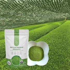 TÉ MATCHA PREMIUM ORGÁNICO UJI FUJIRO AUTENTICO JAPONÉS (70g) Rendimiento 140 porciones Ceremonial-Premium, 100 Puro, Sin Azúcar, certificado USDA y  