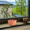 Lurrose 3pcs Japanese Style round Plastic Flower Pots Imitation Clay