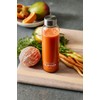 Hurom Glass Juice Jar 18oz Airtight Rubber Seal Stainless Steel