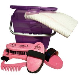 Children grooming box for horses purple filled with body brush and more