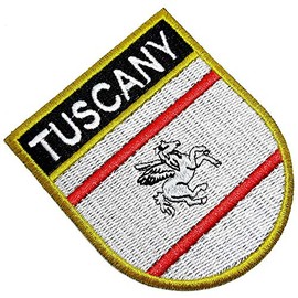 BE0229ET 01 BR44 Tuscany Italy Italia Country Flag Embroidered Patch Gold Border Uniform Kart Kimono, Iron or Sew