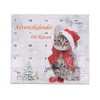Adventskalender gefüllt mit Katzenspielzeug