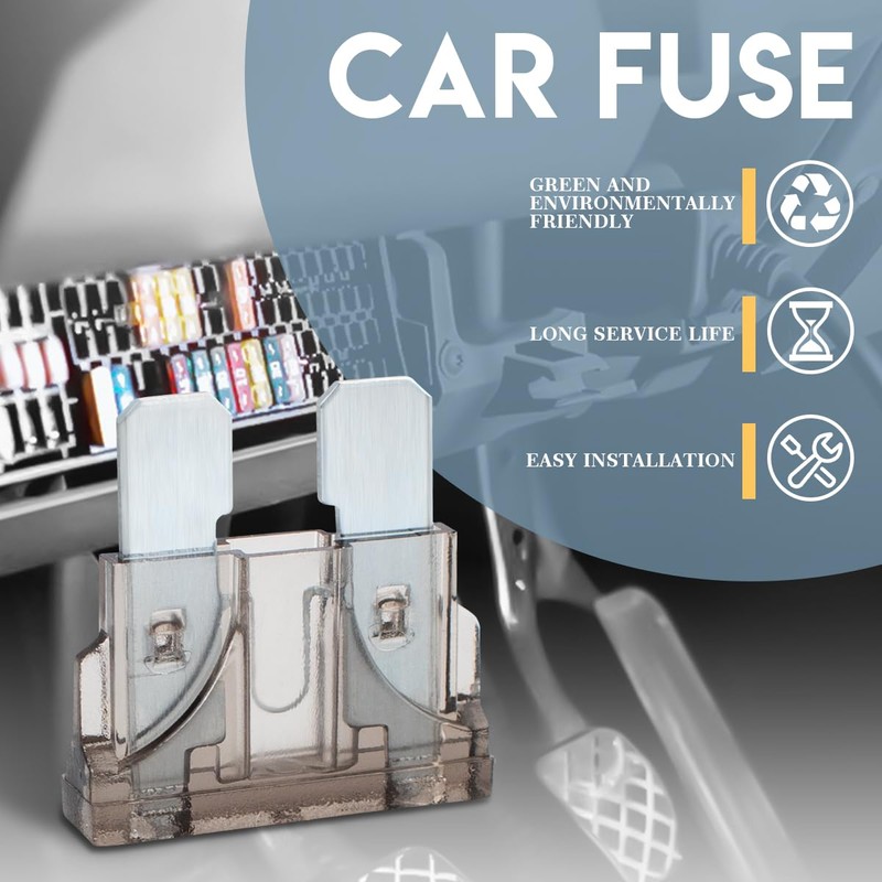 Innfeeltech 25 Stück Standard-Autosicherung, Flachsicherung 2A mit 2 Plastikclips für
