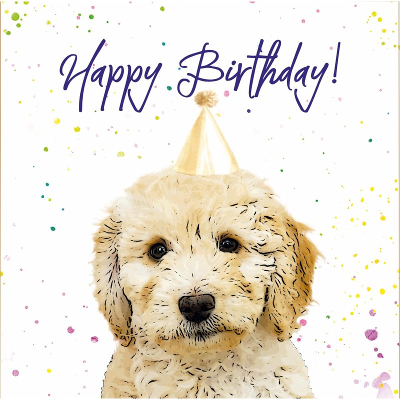 Cockapoo Birthday Card - Party Hat