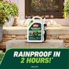Ortho GroundClear Weed and Grass Killer with Comfort Wand, Kills