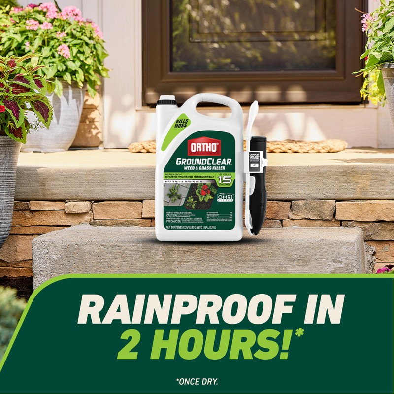 Ortho GroundClear Weed and Grass Killer with Comfort Wand, Kills