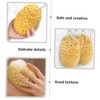Gatuida 2Pcs Exfoliating Bath Sponge Essentials for Adults Bath Tool