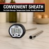 CDN DT392 ProAccurate Digital Thermometer