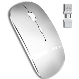 QYFP 2.4GHz USB C Wireless Mouse for Laptop - Silver