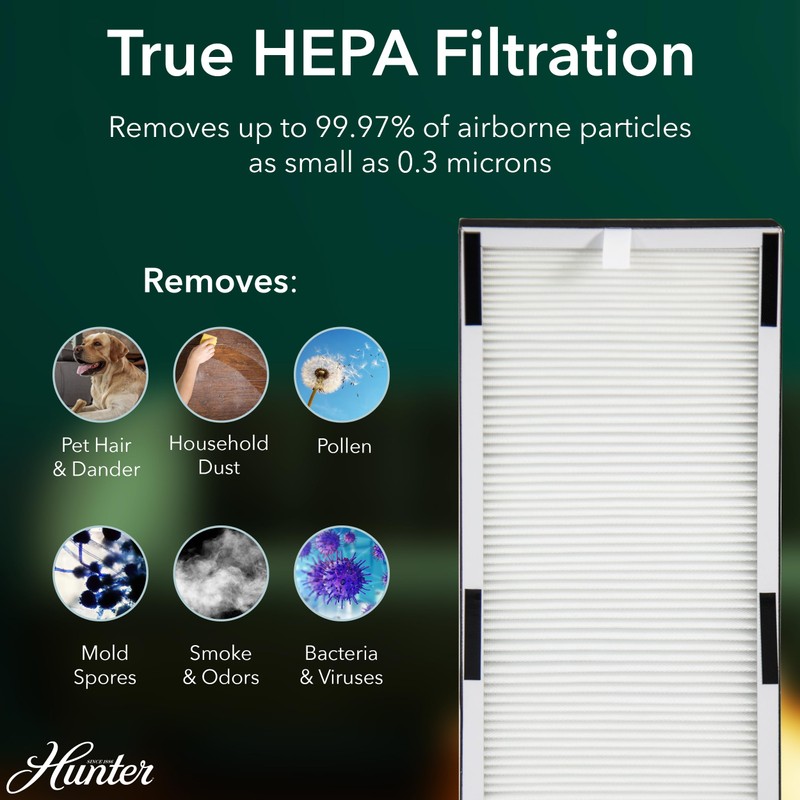 Hunter Air Purifiers for Home Large Room and Bedroom. True