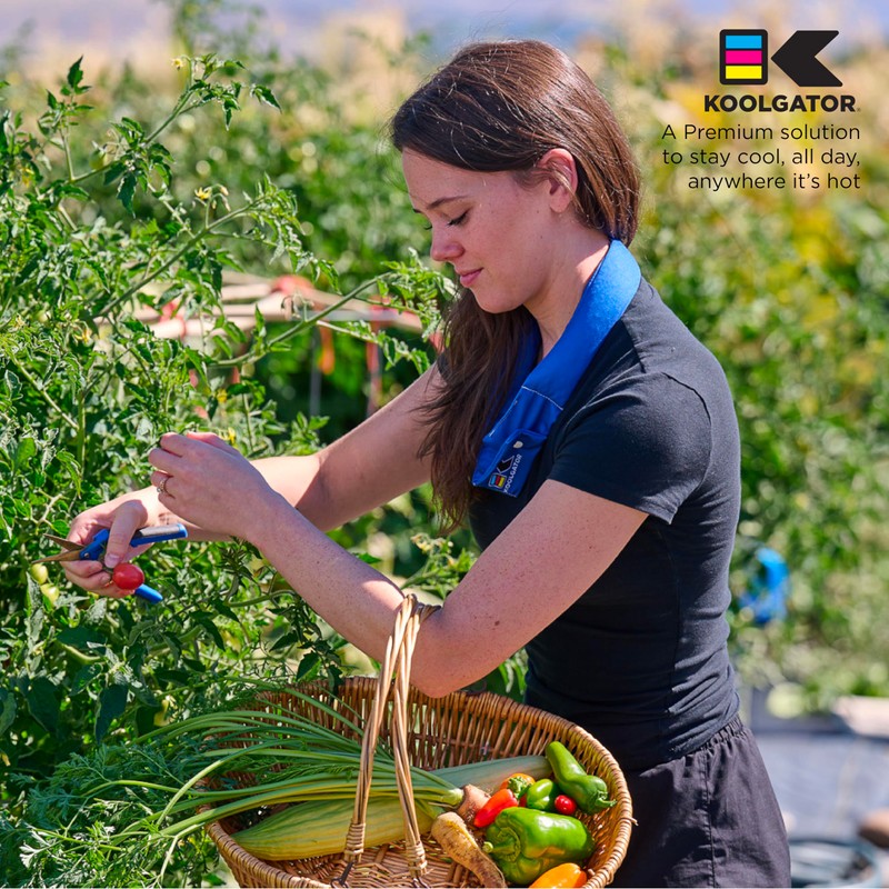 KOOLGATOR Evaporative Cooling Neck Wrap – Reusable Neck Cooler with