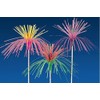 Garcia de Pou Wooden Ice Cream Decorations Palm Trees in