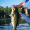 Rapala J9-S Minnow Floating Jointed Lure, 3.5 inches (9 cm),