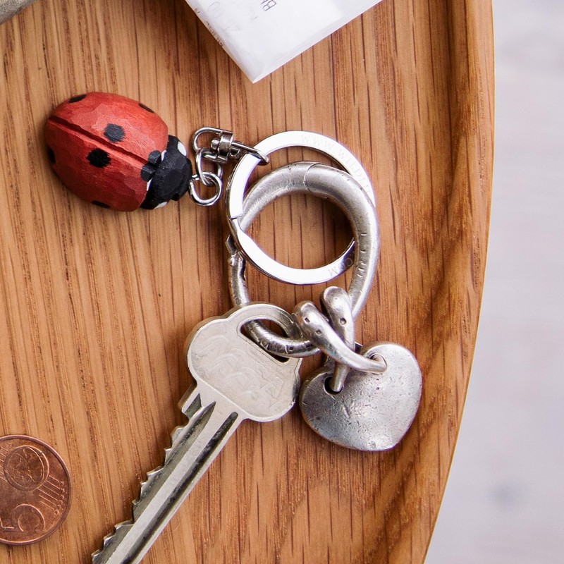 WILDLIFEGARDEN WG4709 Ladybird Keyring, multicoloured