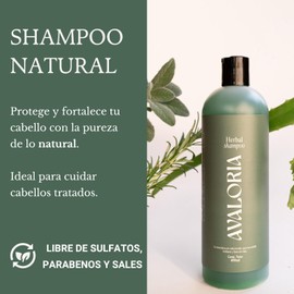 Shampoo Avaloria Libre de Sulfatos, Parabenos y Sales 480 ml – Con 11 Hierbas Naturales, Para Brillo Y Fortalecimiento Capilar (Shampoo Herbal, 480 ml)