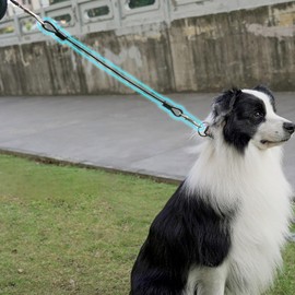 WYBXZXY Chew Proof Dog Leashes Extension, Metal Non-Tangle Connect Leash for Any Leash & Collar & Harness,Heavy Duty Black Dog Leash Extender for Training Outdoor Walking (Black, S-￠0.12in*16.14in)