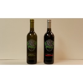 VSOP Organic Persian Lime Infused Extra Virgin Olive Oil & Traditional 18yr Aged Dark Balsamic Vinegar of Modena (2 Bottle) Combo Pack (375 ml / 12.68 oz)