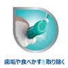 Polident Denture and Mouthpiece Specific Brush (Color cannot be selected)