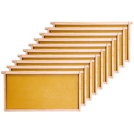 Honey Lake Deep Beehive Frames and Foundations Kit, 10 Pack Brood Wooden Frames and Natural Beeswax Dipped Plastic Foundation for Beekeeping