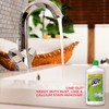 Lime Out AO06N Lime, Calcium, Rust, and Mineral Deposit Remover-24